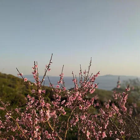 το αρχοντικό της ιωάννας ιι Aprovaton