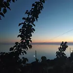 το αρχοντικό της ιωάννας ιι * Aprovaton