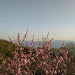 το αρχοντικό της ιωάννας ιι Aprovaton