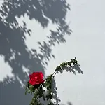 το αρχοντικό της ιωάννας ιι