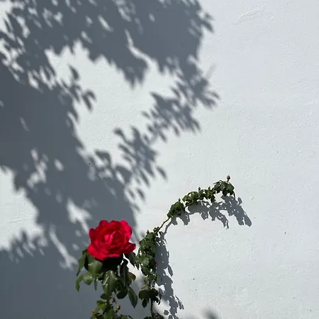 το αρχοντικό της ιωάννας ιι