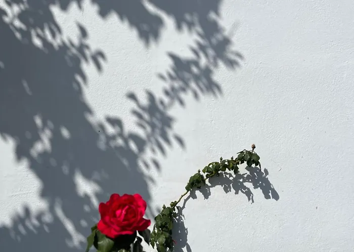 το αρχοντικό της ιωάννας ιι